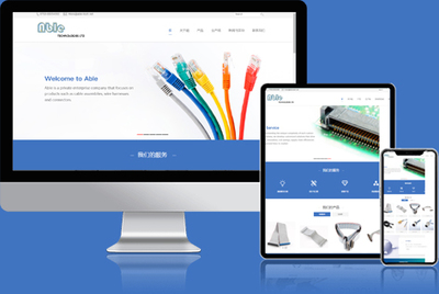 中英文網站建設與高端定制 米可網絡的專業計算機技術服務